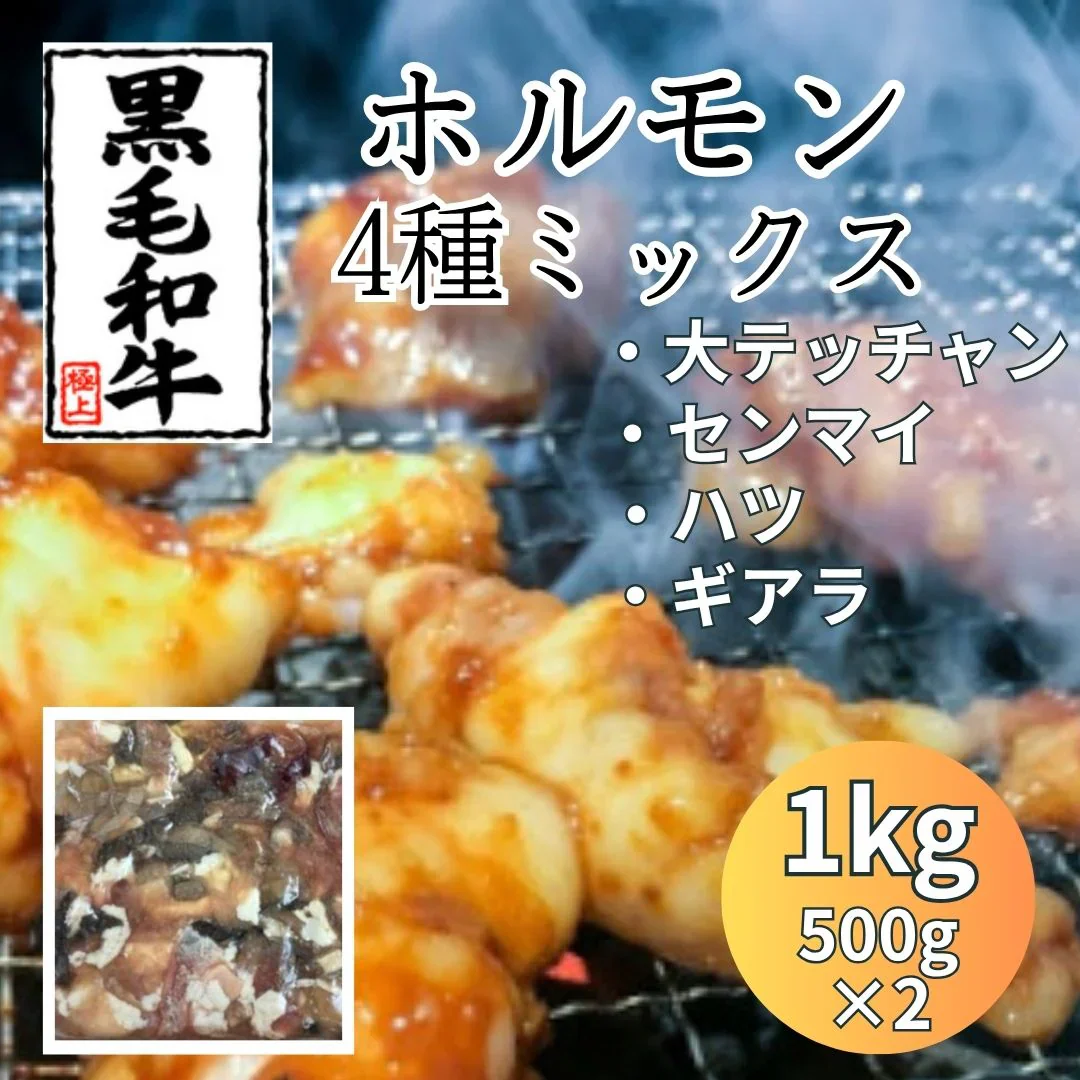 九州産 黒毛和牛 ミックスホルモン 1kg（500g×2パック）