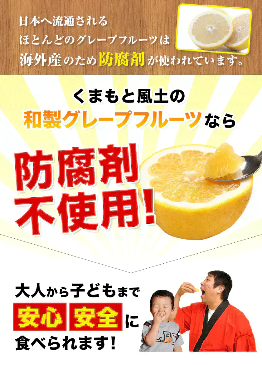 河内晩柑 5kg 送料無料 和製 グレープフルーツ フルーツ 果物 みかん 訳あり 夏文旦 晩柑 ジューシーみかん 熊本県産 《1-5営業日以内に発送予定》