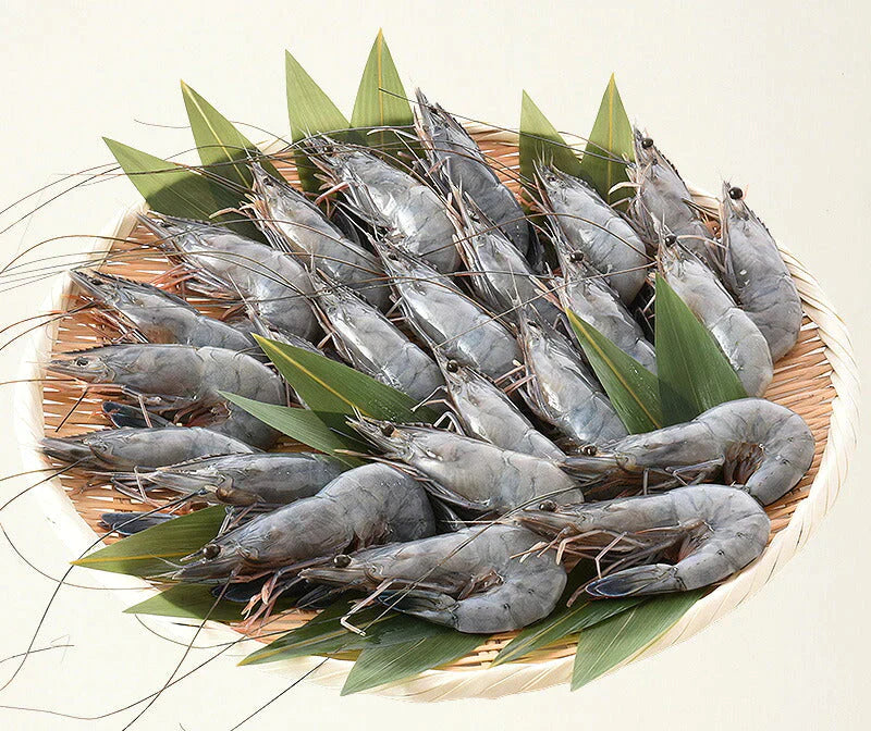 天使の海老 1kg （約20〜30尾入り） えび エビ 1キロ 冷凍エビ 冷凍海老 まとめ買い ニューカレドニア 冷凍えび 冷凍 海老 高級 海鮮 高級グルメ 高級食材 贈答品 贅沢 贈り物 グルメ ［送料無料］ 母の日 プレゼント ギフト  母の日思いの 健康 実用的 父の日 子供 孫