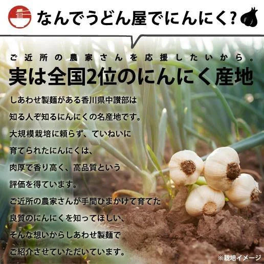 黒にんにく お徳用 200g (100g×2)   香川県産 お試し 送料無料 しあわせ黒にんにく