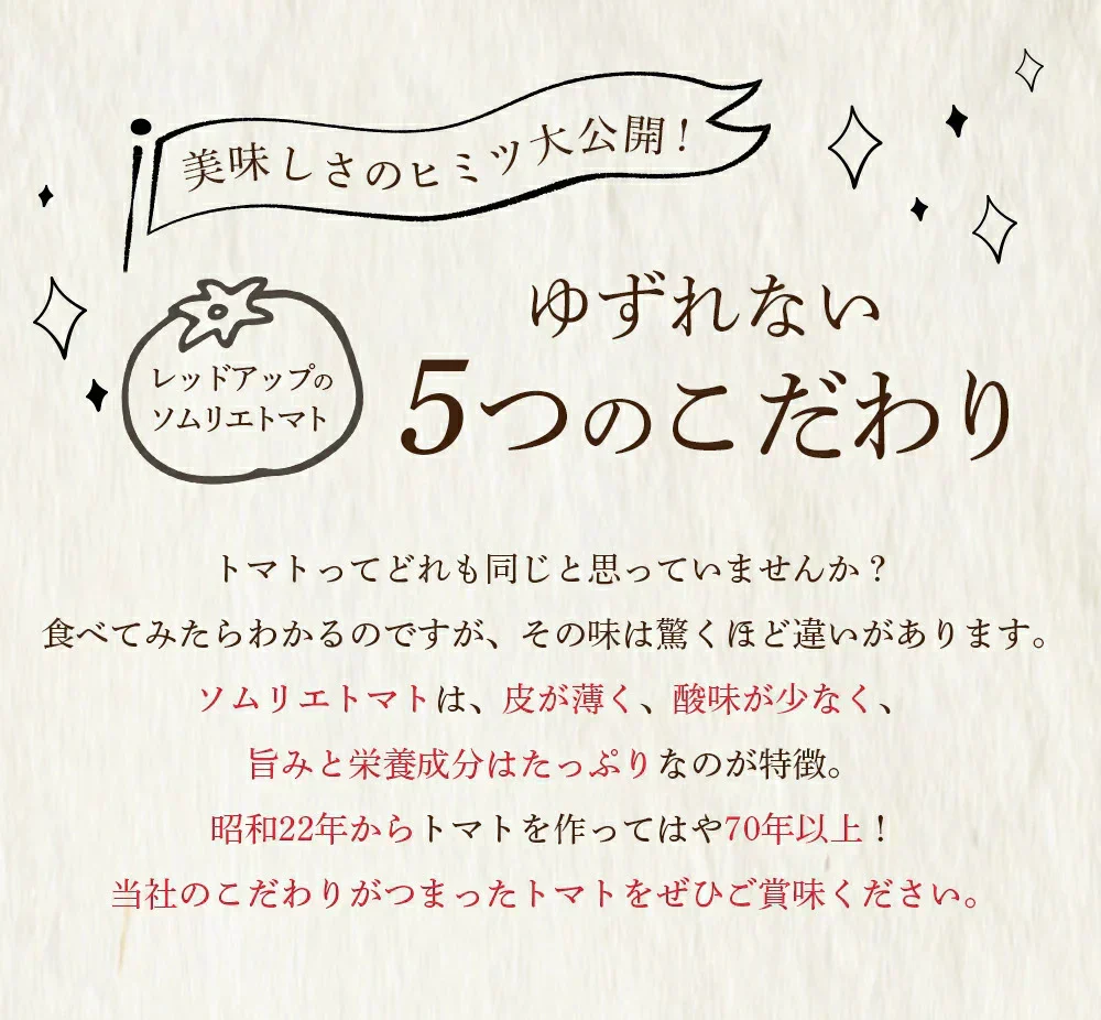 送料無料　ソムリエミニ トマト プラチナ100gとダイヤ100gの食べ比べセット
