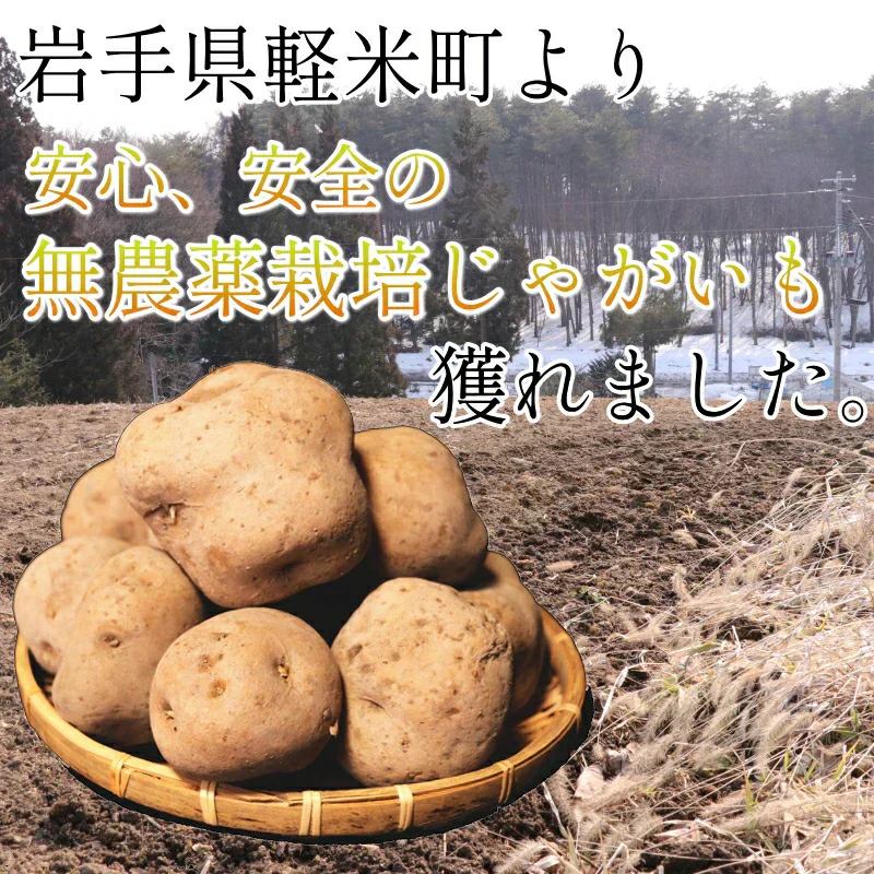 岩手県産　じゃがいも　5kg　無農薬栽培　品種MIX（きたあかり・男爵）