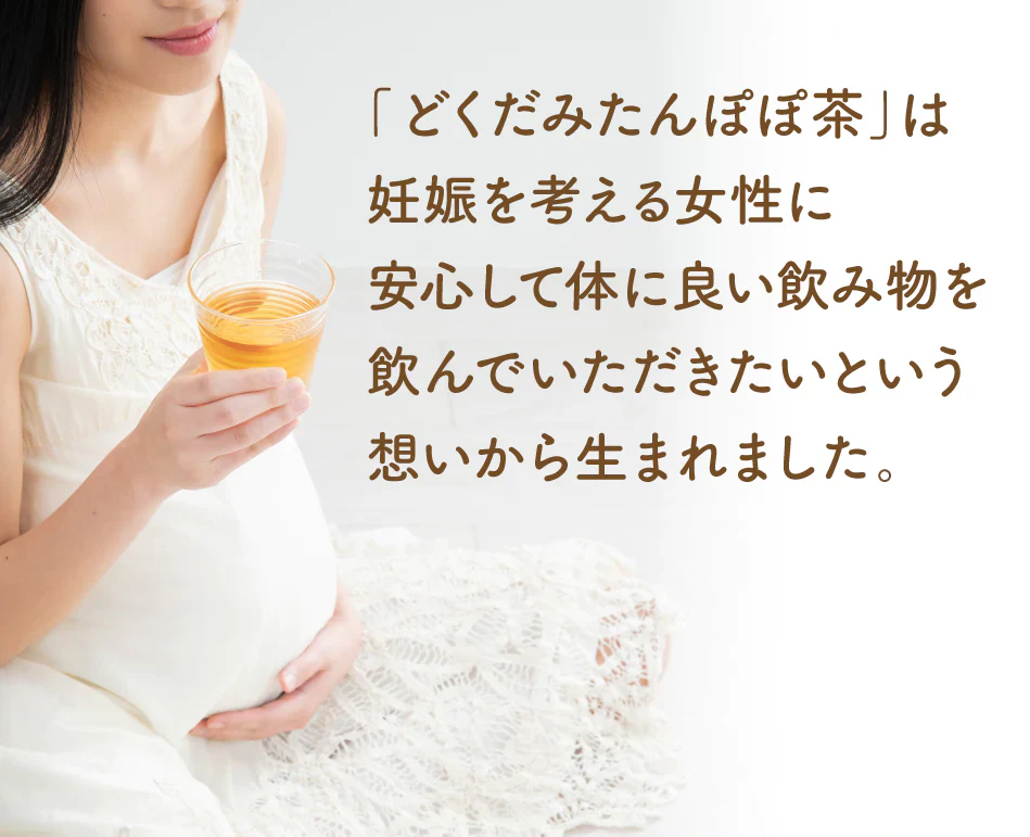 どくだみたんぽぽ茶　ポット用３０個入