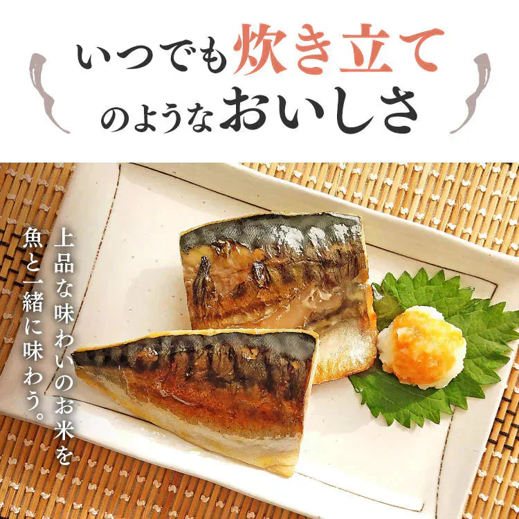 【カートアップNG】低温製法米のおいしいごはん 青天の霹靂 150g×24パック