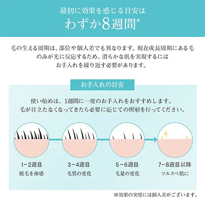 ハニーフラッシュ（脱毛器）