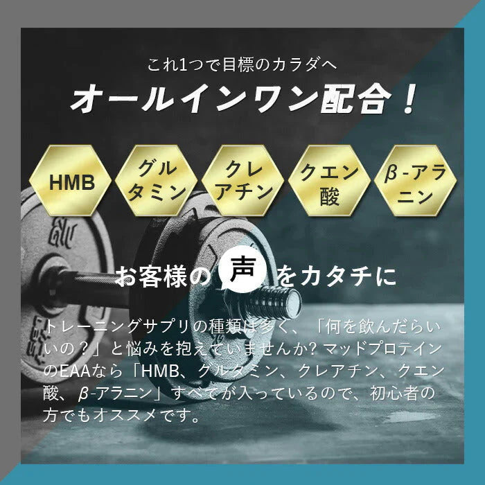 EAA お試しセット 10種類 フレーバー 人工甘味料不使用 オールインワン 国内製造 (MADPROTEIN) マッドプロテインド アミノ酸全種類配合