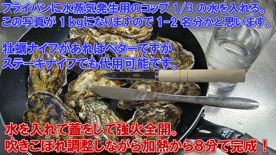 「無選別蒸し缶２ｋｇ」牡蠣ナイフ付き 【約２４粒】  牡蠣 殻付き  宮城県産 無選別牡蠣 カキ 加熱用 松島牡蠣屋 【80】