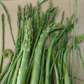 北海道富良野産 -アスパラガスの規格外品＆端材-（1kg） 野菜 / 新鮮 / 産地直送 / 訳あり / ワケあり / おかず /全国送料無料