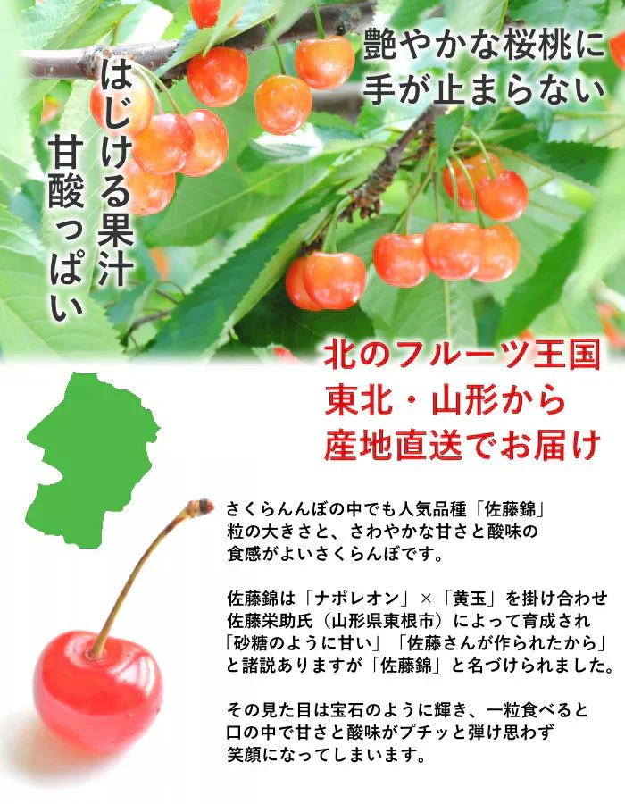 【遅れてゴメン母の日ギフト順次発送】さくらんぼ佐藤錦Ｍ玉ダイヤパック詰め100g2個詰めカーネーション1本と母の日カード付き山形県より直送