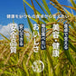 雑穀 雑穀米 国産 麦５種ブレンド 400g お試しサイズ [丸麦/押麦/はだか麦/もち麦/はと麦] 無添加 無着色 送料無料 ポスト投函