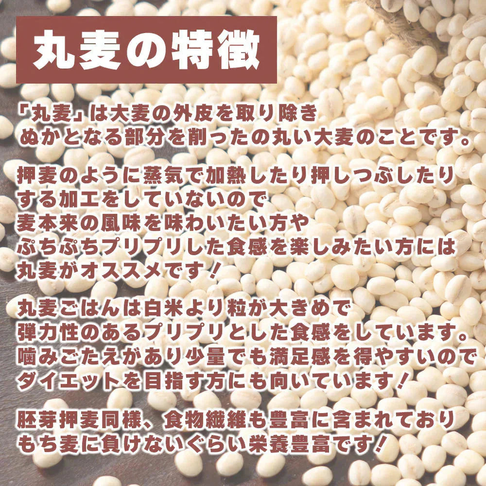 雑穀 雑穀米 国産 胚芽押麦 800g(400g×2袋) 定番サイズ 無添加 無着色 送料無料