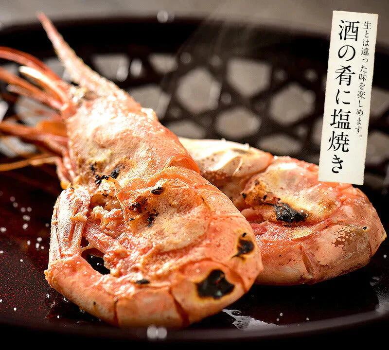 越前産 甘えび 甘エビ 子持ち 500g（約40尾入り） 冷凍エビ 冷凍えび 冷凍海老 刺身用 天然 食べ物 海鮮 魚介 水産 冷凍 祝い お徳用 国内 魚介類 美味しいお取り寄せ グルメ 贈り物 母の日 プレゼント ギフト  母の日思いの 実用的