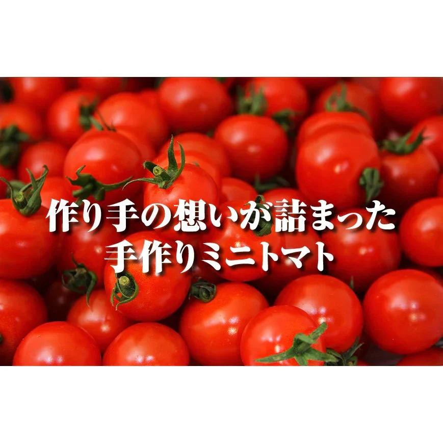 【特別栽培農産物】ソムリエトマト 約800gと ソムリエ ミニトマト ダイヤ800gのセット
