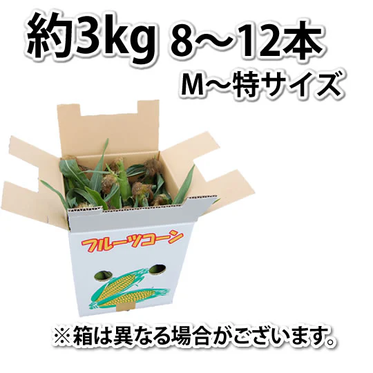 とうもろこし ピュアホワイト 送料無料 約3kg 8～12本入り 九州産 白いとうもろこし 極甘フルーツコーン スイートコーン 雪の妖精
