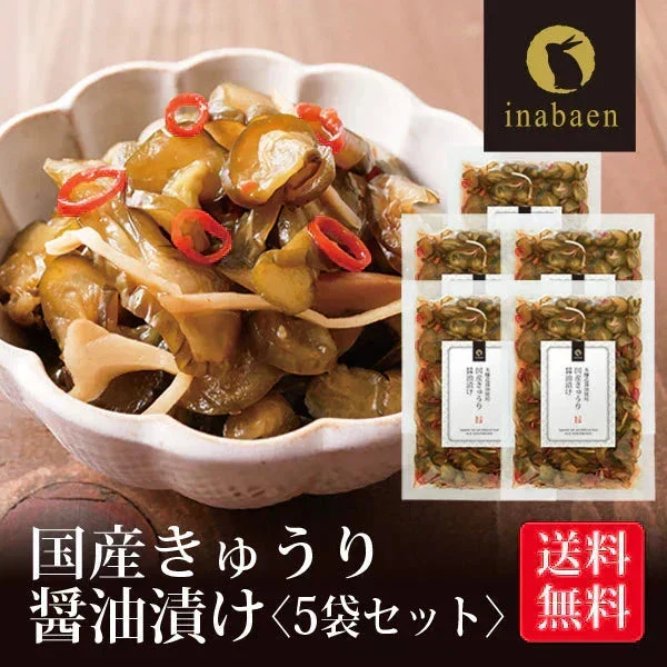 【5個セット】日本橋いなば園 国産きゅうり醤油漬け 100g メール便送料無料