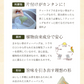 【2024年産】静岡県産緑茶 ティーライフのまかない新茶 100個入（ ティーバッグ 緑茶 新茶 ）