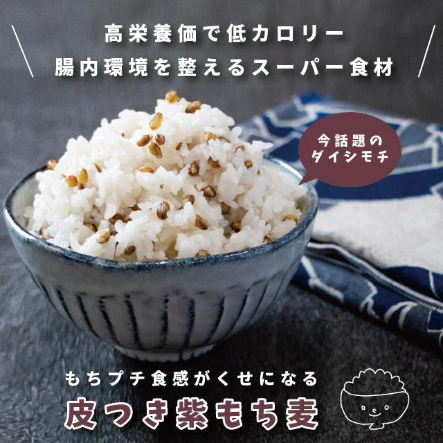 国産 皮つき 紫 もち麦 プチコさん 9kg（900g10袋） ダイシモチ アントシアニン 腸内環境 食物繊維