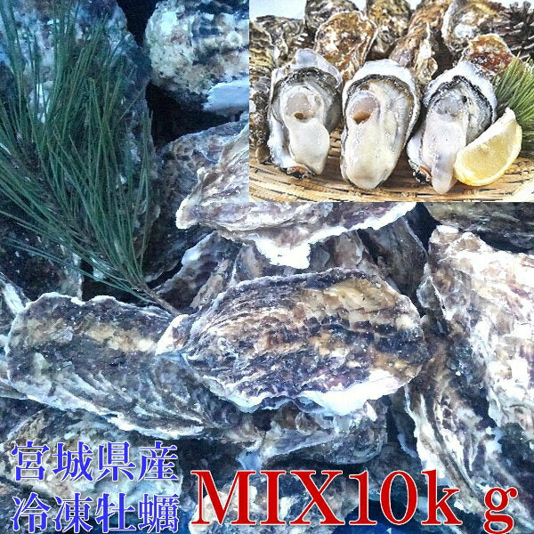牡蠣 殻付き 牡蠣 あす楽対応！無選別「ＭＩＸ１０ｋｇ」（約120粒）冷凍便 送料無料！10キロ 宮城県産 殻付き牡蠣 殻付き 殻付 カキ 加熱用 松島牡蠣屋 無選別牡蠣 牡蛎 ＢＢＱ バーベキュー食材 海産物【120】