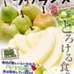 洋梨 ラ・フランス 5kg 山形産 フルーティーに香り立つ とろける甘さ ラフランス （発送予定:10月下旬より）
