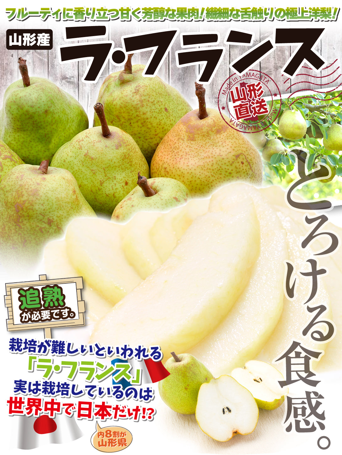 洋梨 ラ・フランス 5kg 山形産 フルーティーに香り立つ とろける甘さ ラフランス （発送予定:10月下旬より）