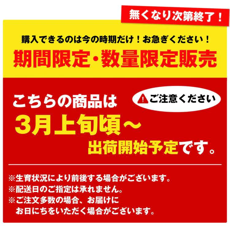 せとか みかん 5kg 愛媛県産 JAえひめ中央 柑橘 大トロ 高級 フルーツ ギフト 常温便【フレッシュセール】