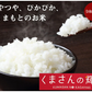 くまさんの輝き 無洗米 送料無料 計900g（300g×3袋） お試し 令和7年産 熊本県産 お米 白米 玄米 コシヒカリ ヒノヒカリ 森のくまさん