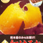 さつまいも 紅はるか べにはるか 1.5kg 送料無料 芋 熊本県産 スイーツ お取り寄せ 11月上旬-12月上旬頃より発送予定