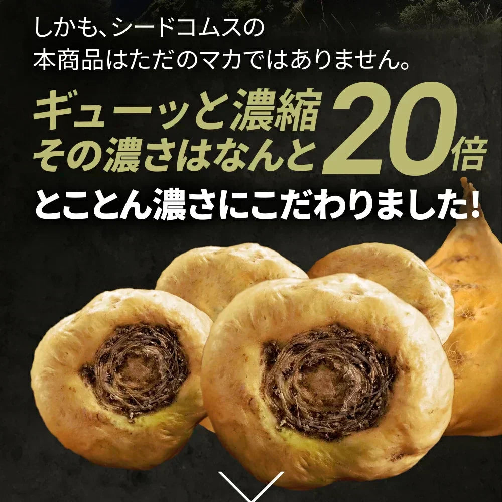 キングパワー《約12ヶ月分》20倍濃縮マカ+100倍濃縮トンカットアリ配合 亜鉛 すっぽん アルギニン シトルリン サプリ サプリメント 男性【大容量】