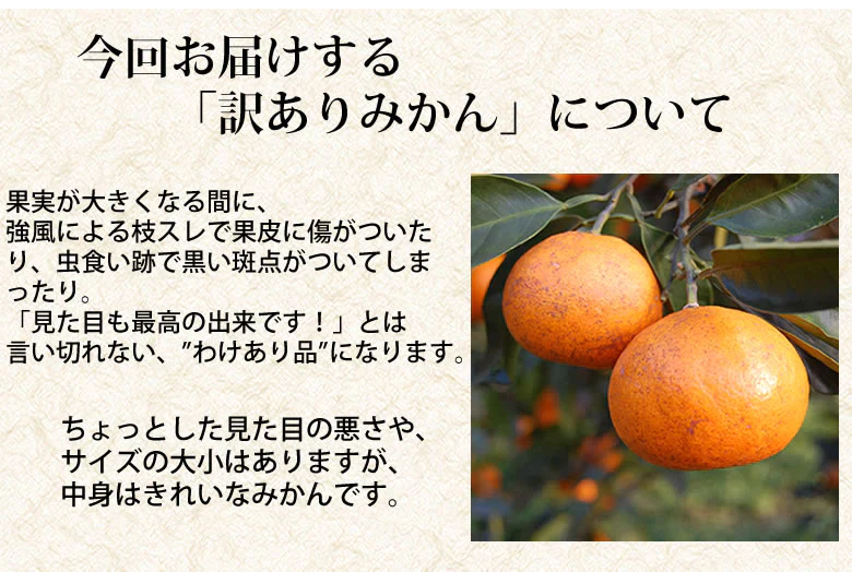 みかん 温州みかん 送料無料 訳あり 2kg 2セット購入で1kgおまけ 3セット購入で3kgおまけ 熊本県産 熊本みかん 蜜柑 ミカン