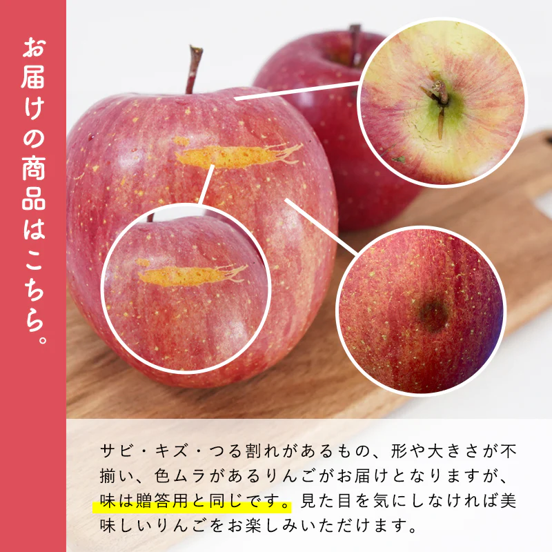 【ただいま発送中！】青森県産 訳あり サンふじ 10kg 数量限定! 家庭用 青森  りんご 林檎 ふじ 果物　フルーツ 送料無料　ks