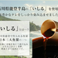 【7ヶ入×20パック】おつまみこんにゃく 国産 送料無料