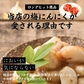 梅にんにく 600g(100g×6袋) 元気の源 梅ニンニク にんにく 大蒜 梅 ウメ 梅鰹