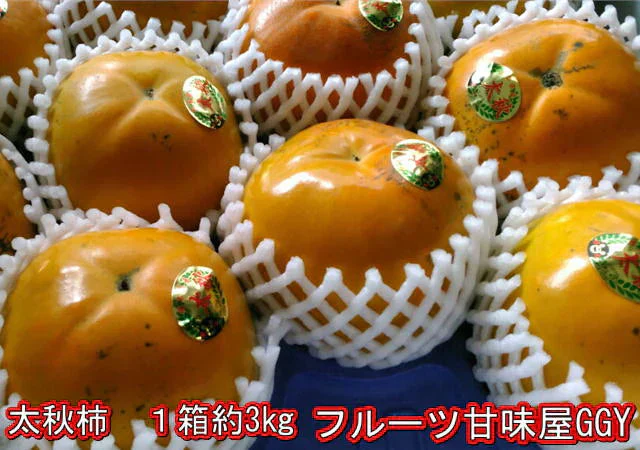 【10月中旬より順次発送予定】太秋柿 訳あり 1箱(約3kg) 約7～14玉 送料無料　80サイズ