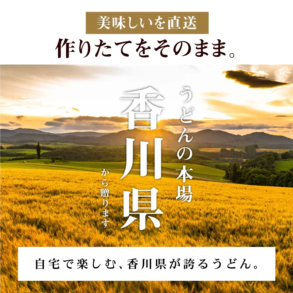 頑固父さんが唸る讃岐生うどん 【普通麺】 9食セット (麺300g×3袋 ) 送料無料 香川県 産地直送 お試し フード おすすめ グルメ食品 人気 ポスト投函 お取り寄せ おつまみ