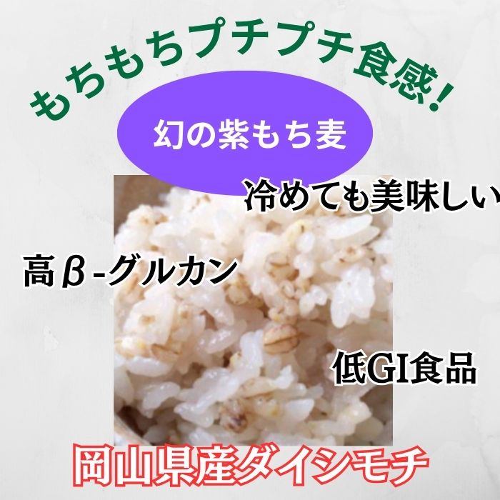 岡山県産　ダイシモチ/幻の紫もち麦　1kg　令和7年産