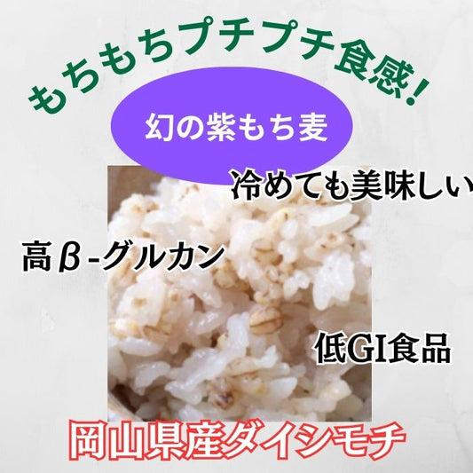 岡山県産　ダイシモチ/幻の紫もち麦　1kg　令和7年産
