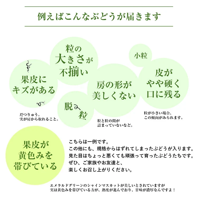 訳あり シャインマスカット 約1kg(2～3房) ご家庭用 お徳用 自宅用 お買い得 ぶどう 産地厳選 ブドウ 種無し 冷蔵便