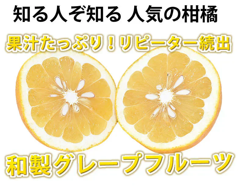 河内晩柑 文旦 みかん 訳あり 和製グレープフルーツ 1.5kg S～3L 晩柑 熊本県産 美生柑 グレープフルーツ