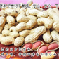 ナカテユタカ500g【送料無料！(北海道、九州、沖縄、その他離島を除く)】千葉県産落花生ナカテユタカ500g（250g×2袋）国産 落花生 ピーナッツ おつまみ お茶請け スーパーフード