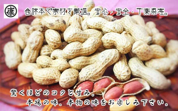 ナカテユタカ500g【送料無料！(北海道、九州、沖縄、その他離島を除く)】千葉県産落花生ナカテユタカ500g（250g×2袋）国産 落花生 ピーナッツ おつまみ お茶請け スーパーフード