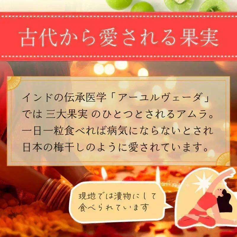 【ご注文殺到につき入荷待ち】 アムラパウダー 無添加 食用 オーガニック 100g 有機 JAS認証 粉末 アムラ 100% パウダー グーズベリー スリランカ ヘアケア 美髪 薄毛 美肌 栄養 健康 サプリメント