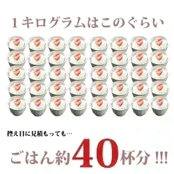 [訳あり]無着色わさび漬けたらこ1kg（500g×２）/ワサビの上品な香りとだしの効いたたらこが美味/使いやすい一口カット/山葵