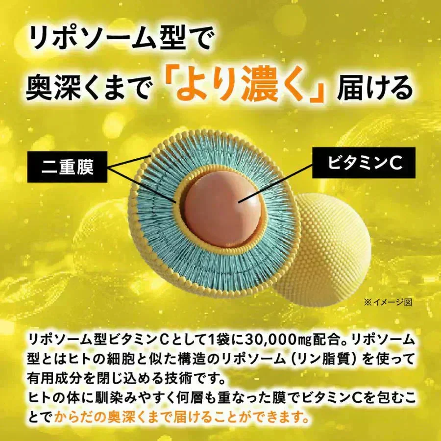 リポソーム型ビタミンC《約1ヶ月分》LiposomeC 1000 リポソーム ビタミンC  1袋あたり30,000mg サプリメント