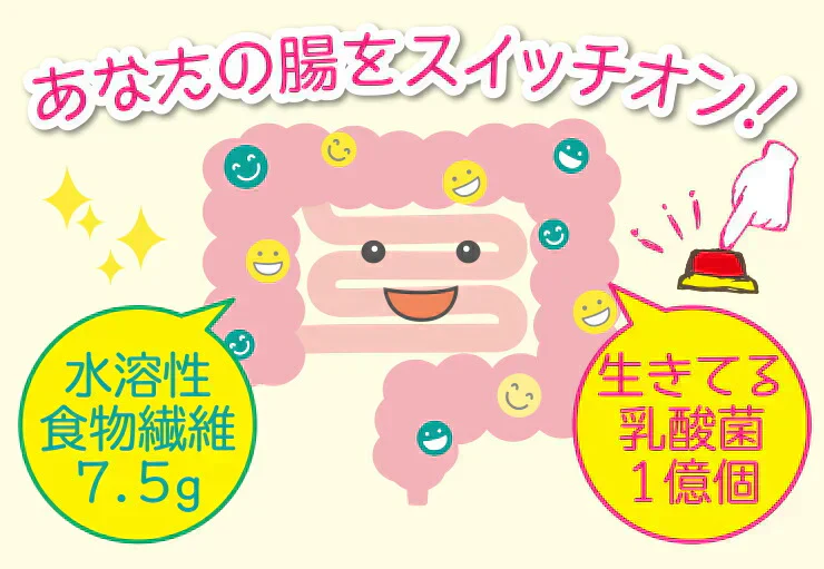 水溶性食物繊維＋生きてる乳酸菌パウダー500g／女王様のおすすめ！すごい食物せんい／芽胞乳酸菌までとれちゃいます。ぷるるん姫