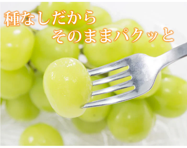 【7月下旬～8月上旬頃より順次出荷】〈クール便でお届け〉 シャインマスカット ぶどう 送料無料 1kg 2〜3房 九州産 マスカット 葡萄 ブドウ