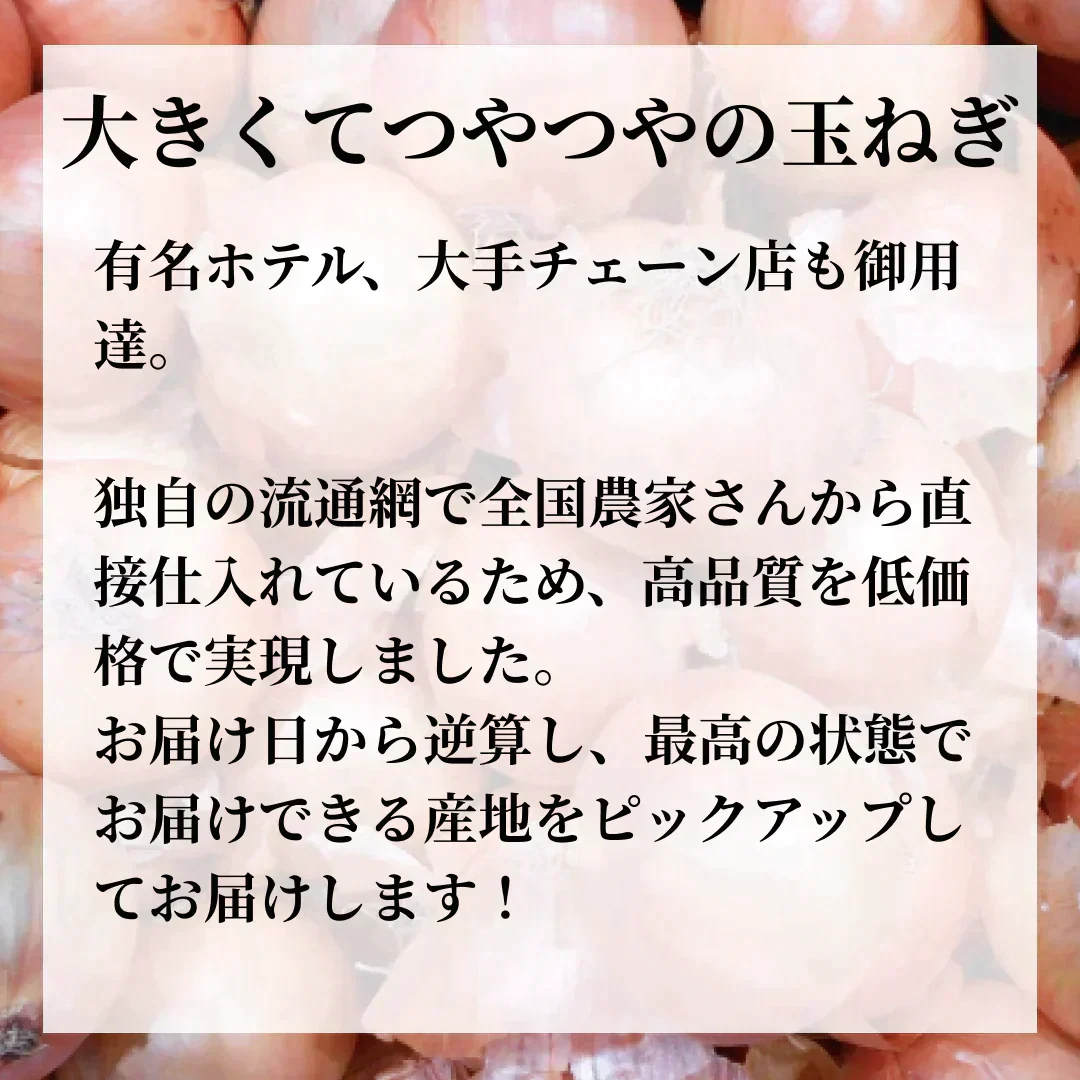 【有名ホテル / 大手チェーン店も御用達！】つやつやたまねぎ 2kg  野菜 玉ねぎ 玉葱 タマネギ