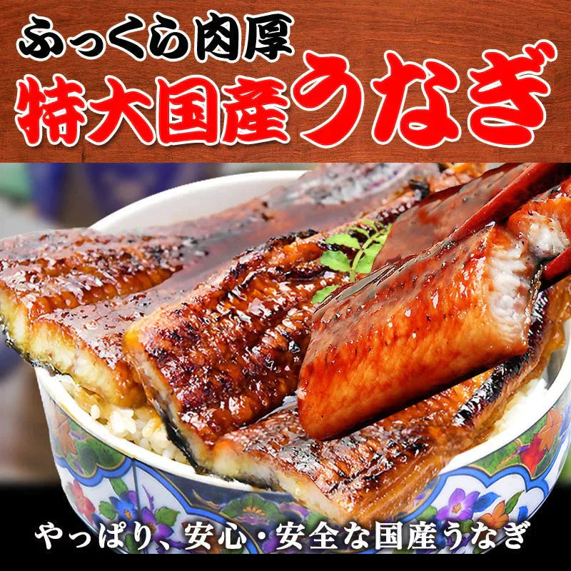 うなぎ 蒲焼き 国内産 送料無料 ギフト 土用の丑の日 父の日 1尾約250g前後×3尾セット 国産 うなぎ 超特大 鰻土用　丑の日《正規品》お中元 贈り物 母の日