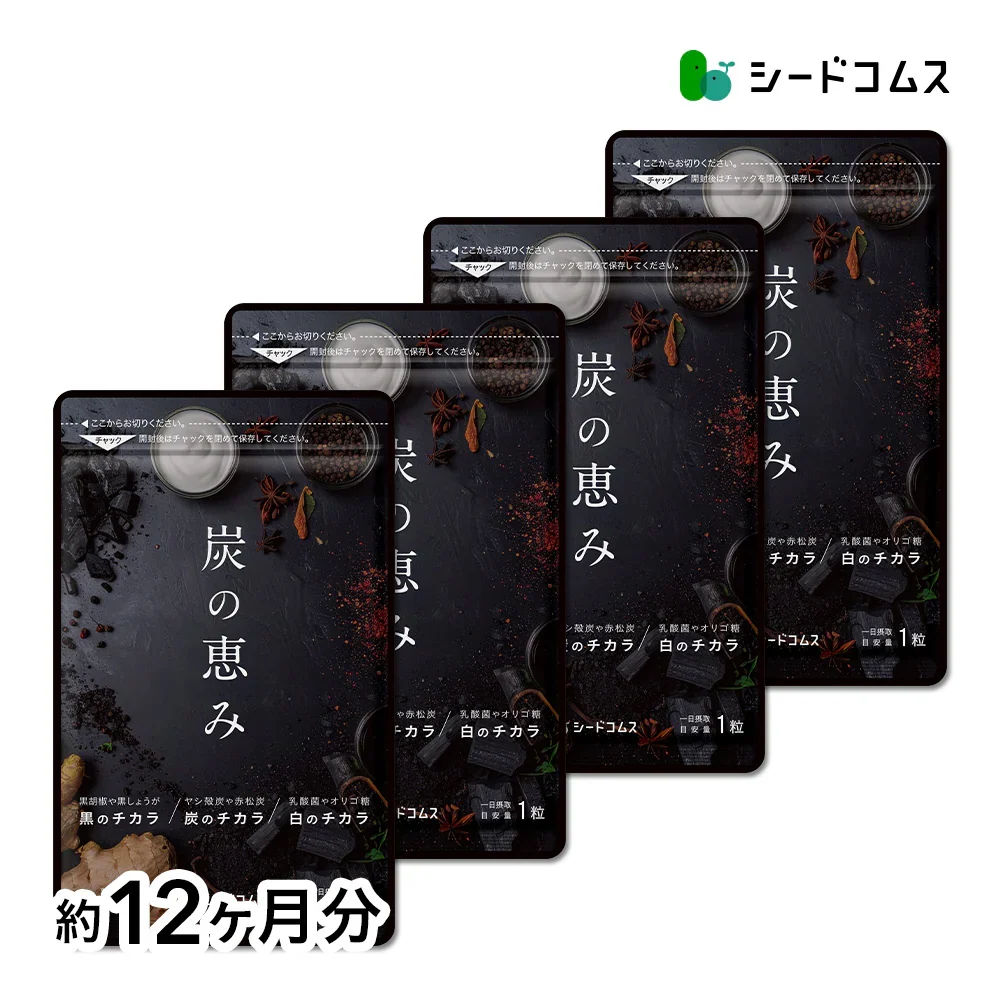 炭の恵み《約12ヶ月分》  炭 ダイエット サプリ サプリメント チャコールクレンズ  乳酸菌 炭サプリ オリゴ糖 炭クレンズ りんご線維 食物繊維 黒酢 もろみ 黒生姜 赤松炭【大容量】