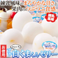 【お徳用】プチ 白くまくん ゼリー 50個 練乳風味のやさしい味わい 常温便