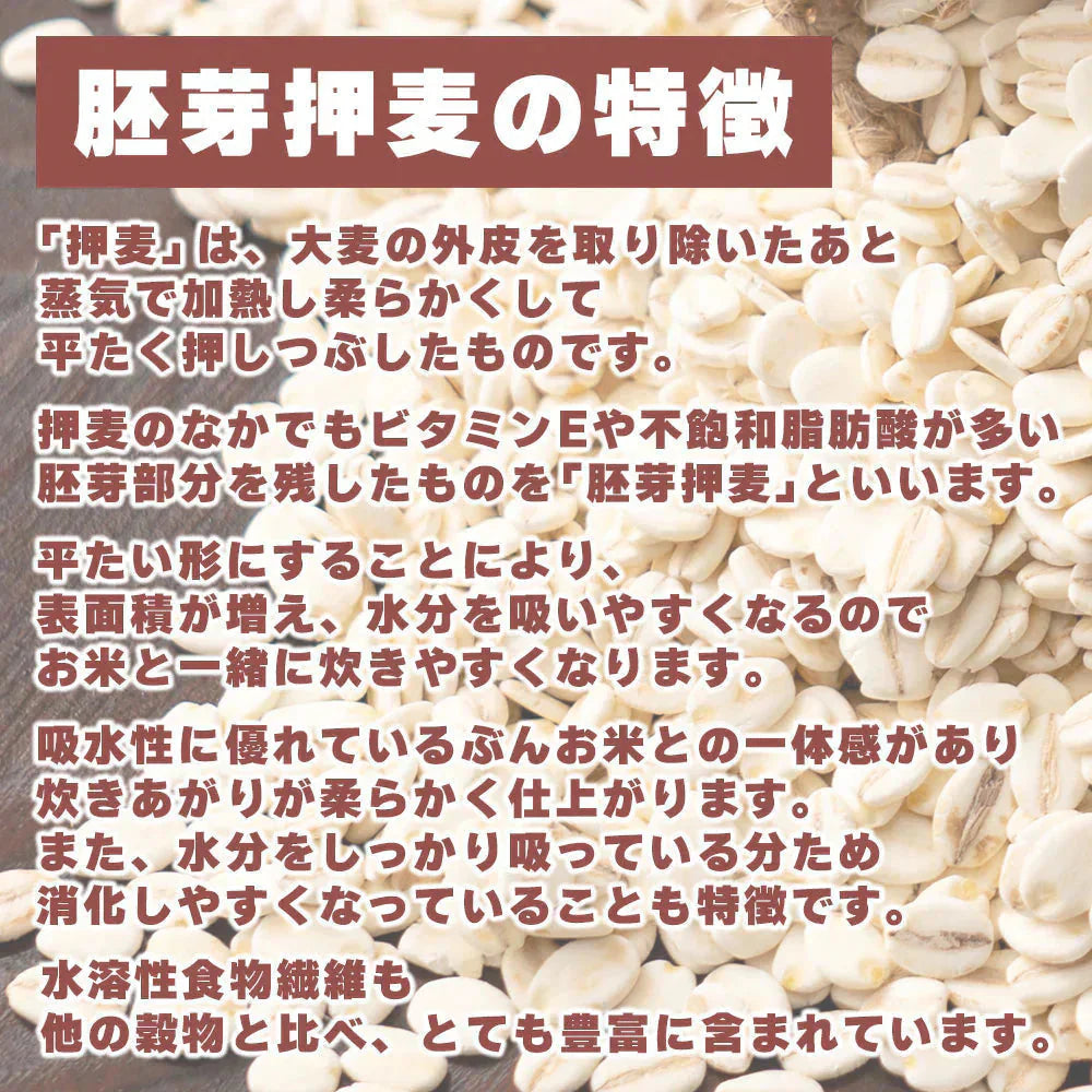 雑穀 雑穀米 国産 胚芽押麦 800g(400g×2袋) 定番サイズ 無添加 無着色 送料無料